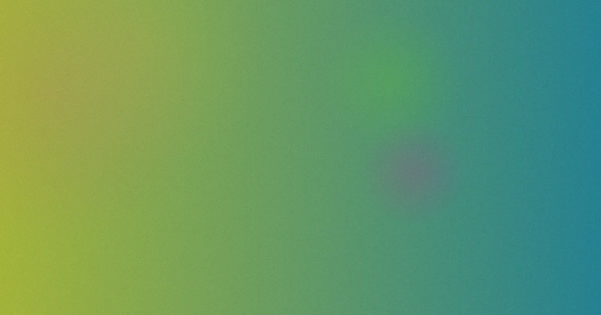 天天插天天干推荐：新手看这篇
